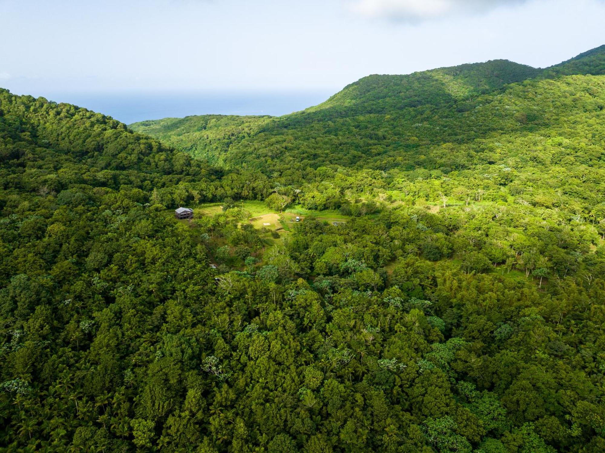 Villa Liamuiga Romneys Exterior photo