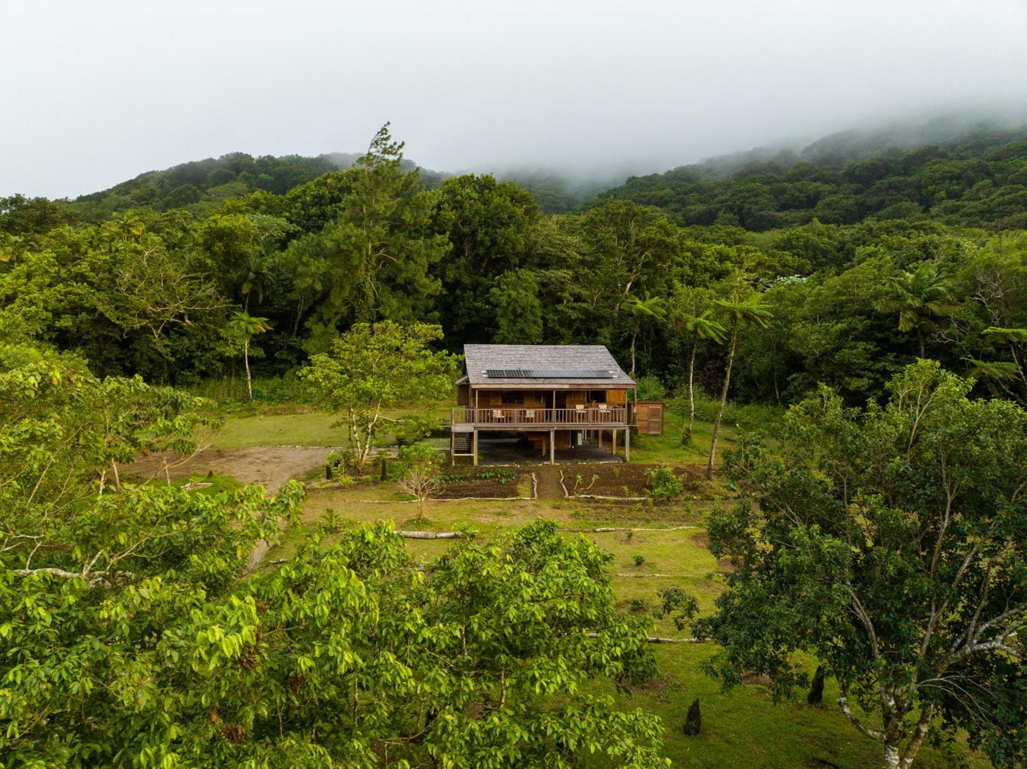 Villa Liamuiga Romneys Exterior photo