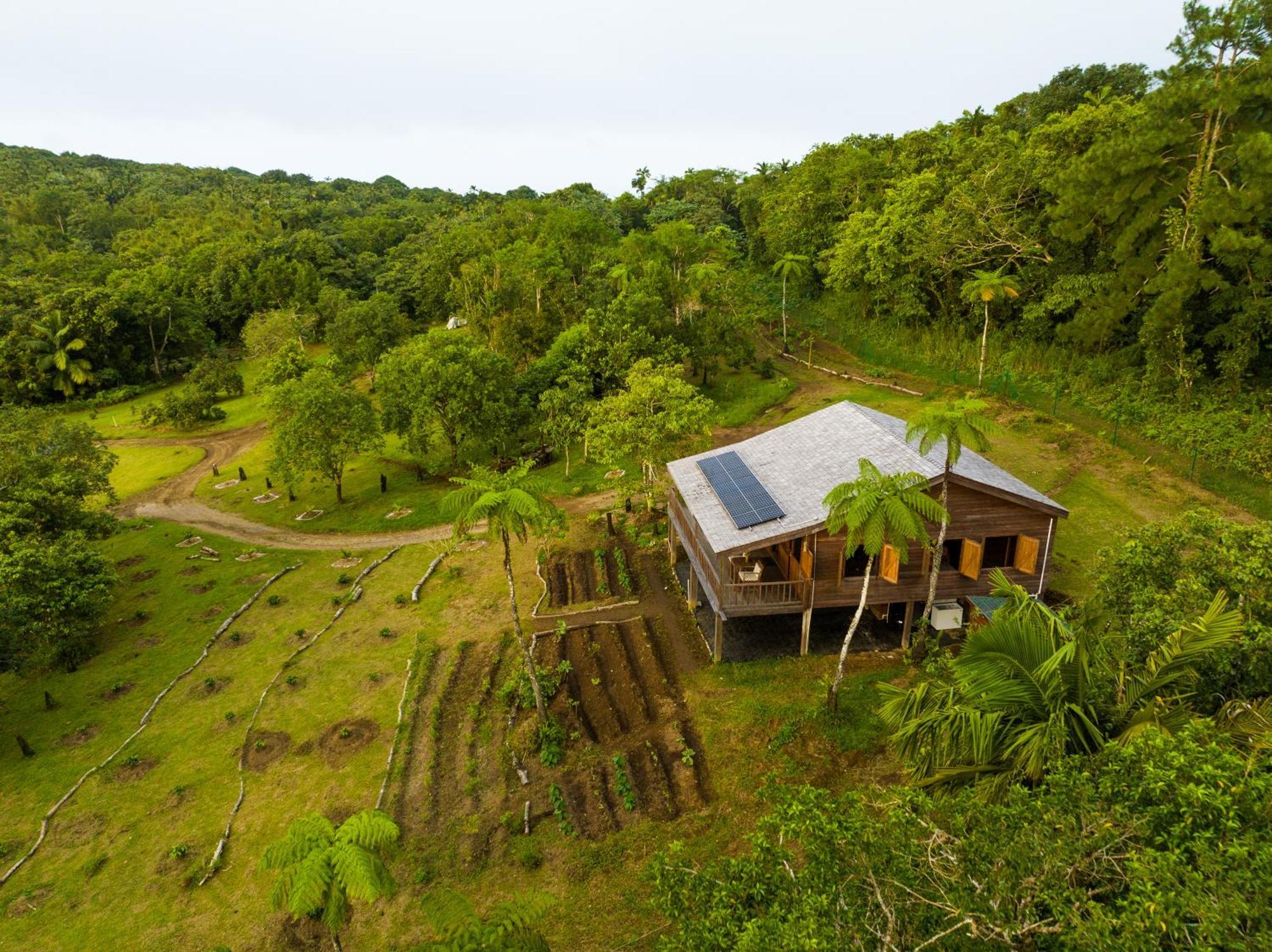 Villa Liamuiga Romneys Exterior photo