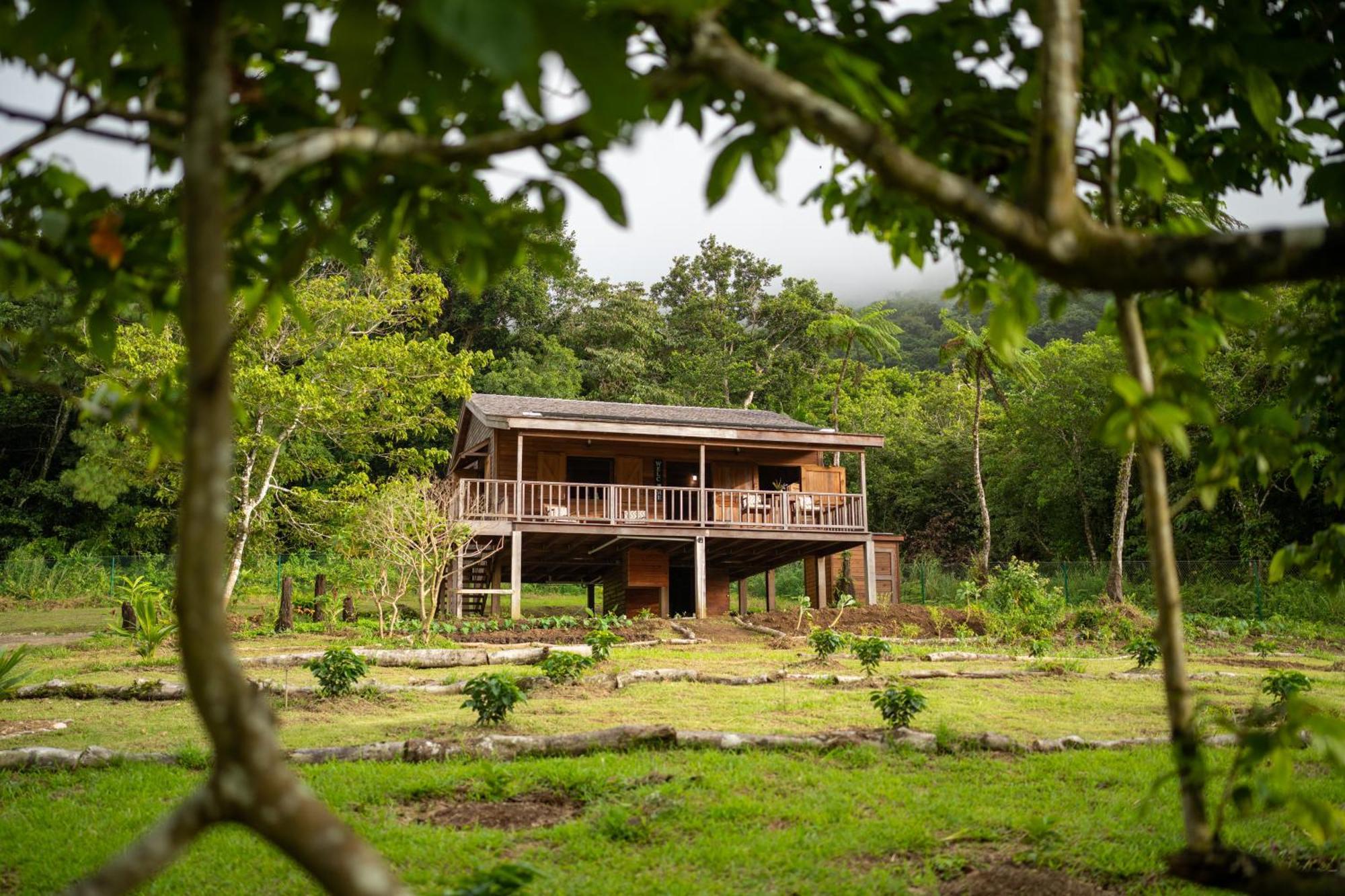 Villa Liamuiga Romneys Exterior photo